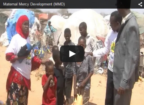 This video is one of important work where MMd Implemented