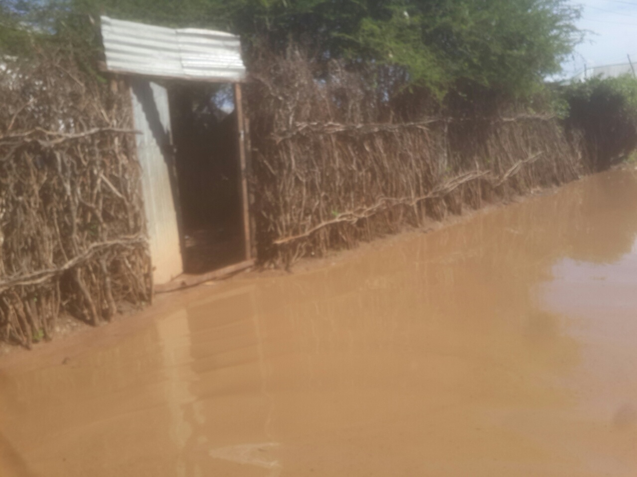 The situation of WANLE WEYN distract